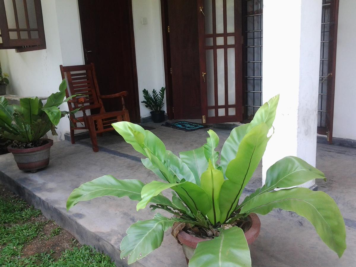 Orchid Villa #10 Хиккадува Экстерьер фото