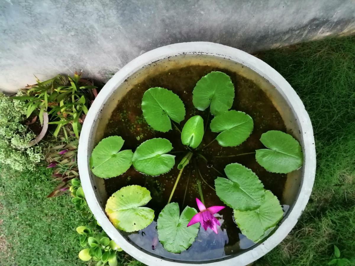 Orchid Villa #10 Хиккадува Экстерьер фото