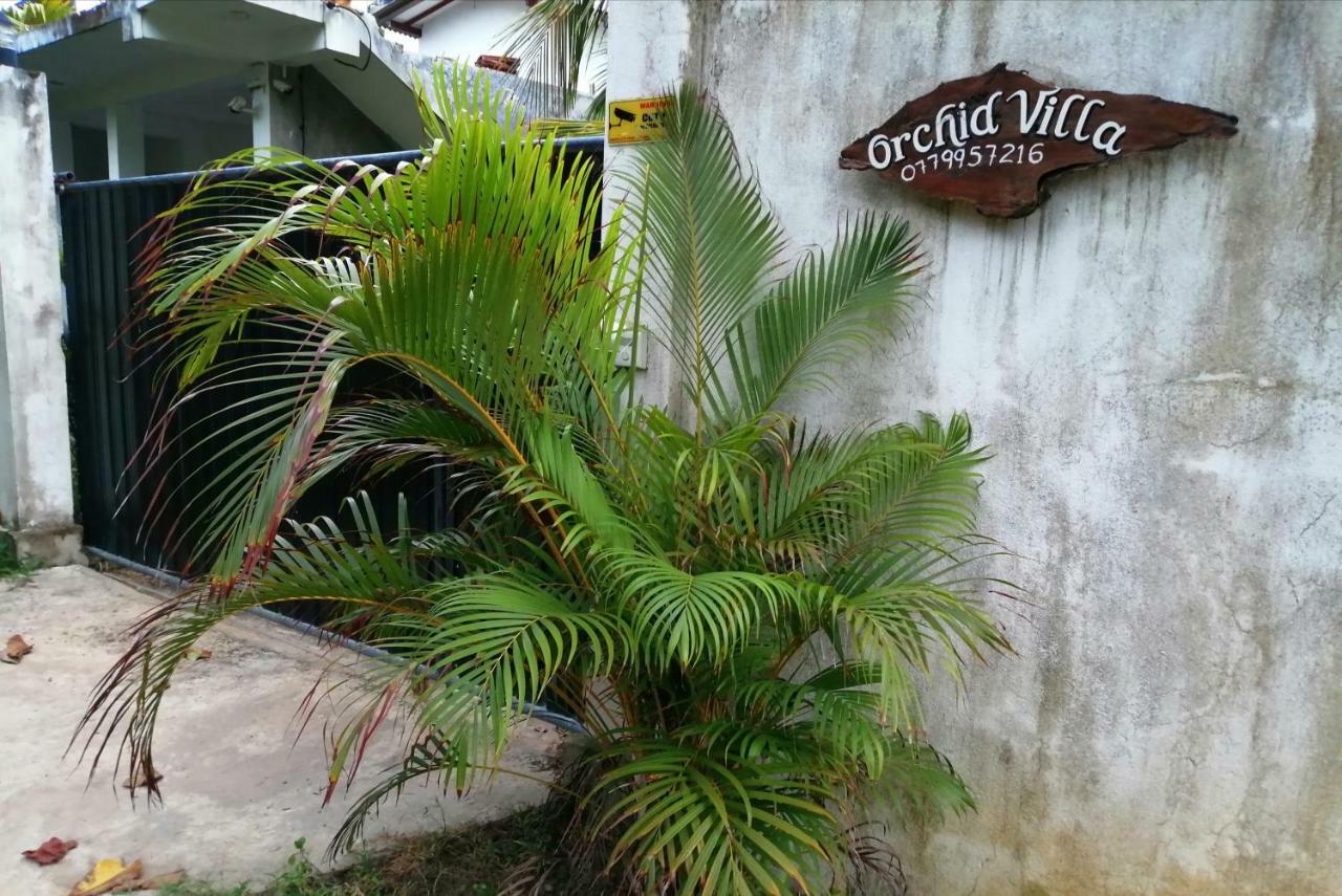 Orchid Villa #10 Хиккадува Экстерьер фото